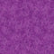 Equinox Basic - Orchid