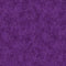 Equinox Basic - Purple