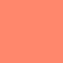 FS Tula Pink Solids - Persimmon