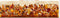 Fallling Leaves Border Stripe - Multi