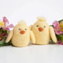 Needle Felting Cute Spring Chicks with Tammy Tuesday March 24, 2026 1-4 Pm