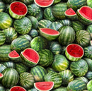 Food Festival 563-Green Watermelons