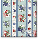 Fresh & Sweet Border Stripe - Multi