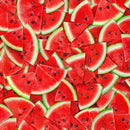Fruit - Packed Watermelon Slices