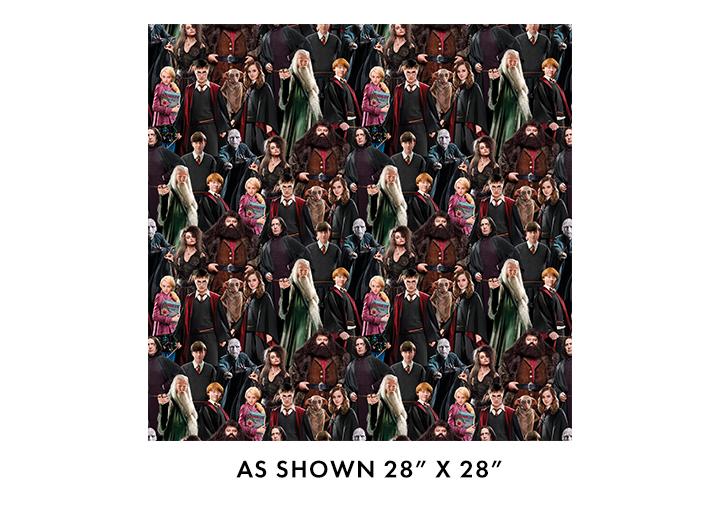 Harry Potter 108" Characters - Multi