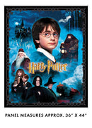 Harry Potter 36" Panel - Multi