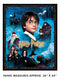 Harry Potter 36" Panel - Multi