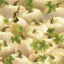 Harvest Festival Pumpkins - Cream