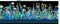I Dream in Color Border Stripe - Blue