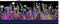 I Dream in Color Border Stripe - Purple