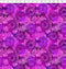 I Dream in Color Sunflower - Magenta