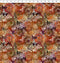 I Dream in Color Sunflower - Multi