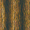 Imaginings Tree Bark - Mahogany