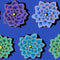 Kaffe Fassett Collective - Shadow Flower Blue
