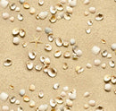 Landscape Medley Sand and Shells - Sand