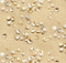 Landscape Medley Sand and Shells - Sand