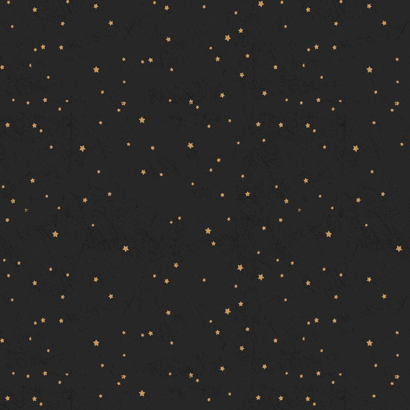 Living the Dream Flannel Stars - Black