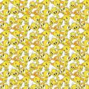 Looney Tunes II Tweety Expressions