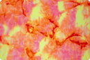 Luxe Cuddle Seal Cosmic - Neon Highlight