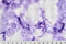 Luxe Cuddle Sorbet Powderpuff - Bellflower