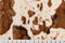 Luxe Cuddle Wild Pony - Ivory/Brown