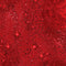 Magical Basics - Red
