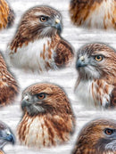 Mascot Madness - Hawks