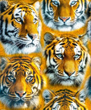 Mascot Madness - Tigers