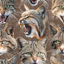 Mascot Madness - Wildcats