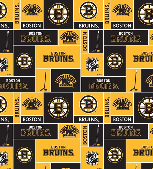 NHL Boston Bruins Sm Scale Box Allover