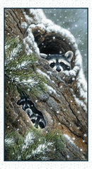 Peek-a-Boo 24" Raccoon Panel - Snow