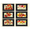 Poppy Dreams 36" Placemat Panel - Black