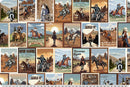 Quilting Cuddle Echoes of the Range Country Grit - Multi