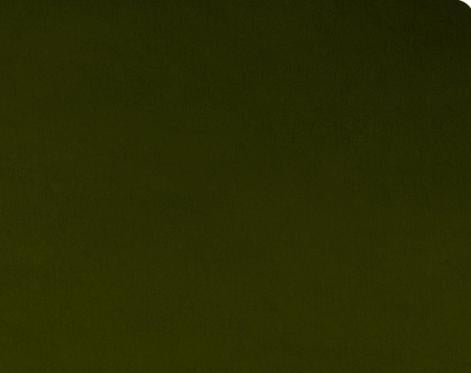 Quilting Cuddle Solid 44" - Loden