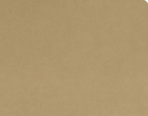 Quilting Cuddle Solid 44" - Sand