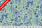 Quilting Cuddle Wanderlust Big Cats - Blue