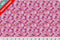 Quilting Cuddle Wanderlust Daisies - Pink