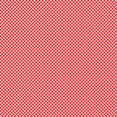 Red,White & Sweet Bias Gingham - Red