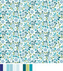 Seaside Garden Asters - Aquamarine
