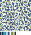 Seaside Garden Asters - Cobalt
