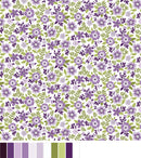 Seaside Garden Asters - Lilac