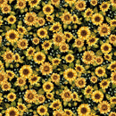 Seeds of Gratitude Lg Sunflowers - Black