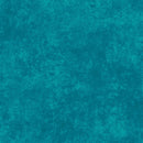 ShadowPlay - Cloud Forest