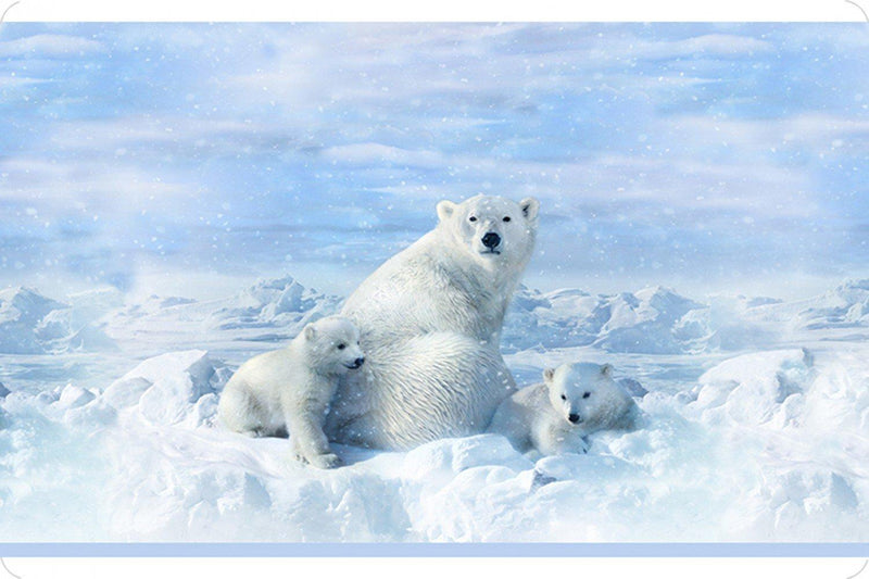 Shannon - Hoffman Call of the Wild Digital Cuddle HFDCPPOLARBEAR Snow Polar Bear 36" Panel