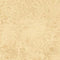 Snarky Cats Damask Tonal Gold
