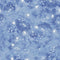 Star Flannel - Blue