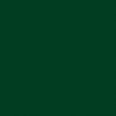 Superior Solids - Dark Spruce