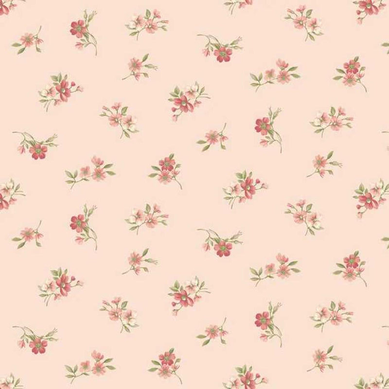 Sweet Blush Rose -Pink Colored Rose Buds