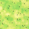Sweetness Watermelon Seeds - Lime