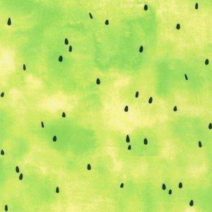 Sweetness Watermelon Seeds - Lime